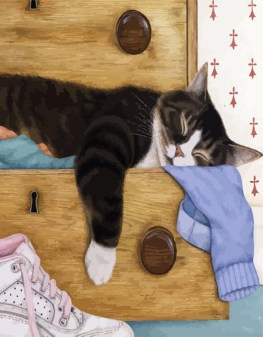 Sleepy Kitten Paint By Numbers