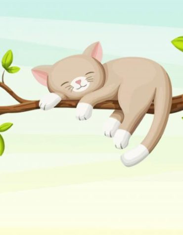 Sleeping Animals On Tree Paint By Numbers