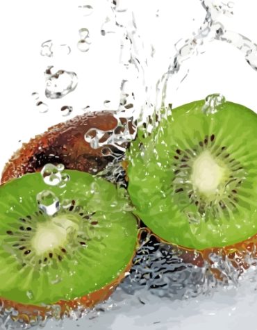 Kiwi Fruit Delight Paint By Numbers