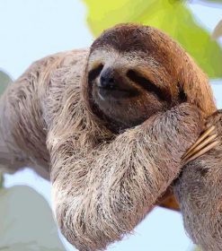 Relaxing Sloth on Branch Paint By Numbers