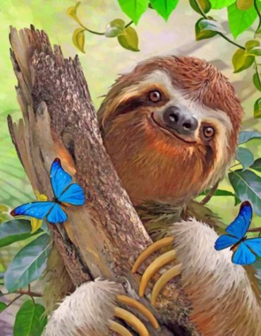 Sloth and Butterfly Delight Paint By Numbers