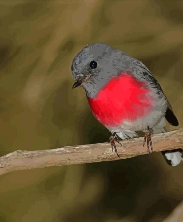 Rose Robin Bird Paint By Numbers