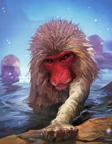 Snow Monkey Wildlife Paint By Numbers
