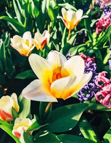 Yellow Crocus in Nature Paint By Numbers