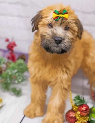 Wheaten Terrier Dog Paint By Numbers