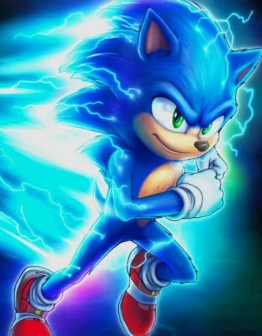 Sonic Cartoon Fun Paint By Numbers
