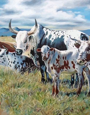 Nguni Cattle Herd Paint By Numbers