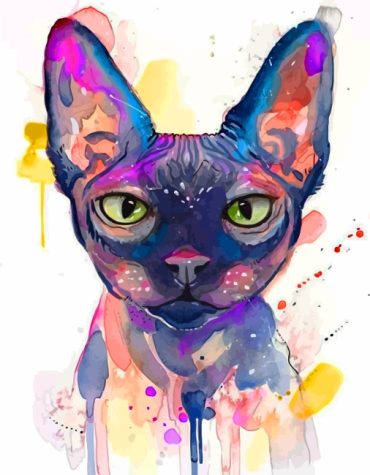 Sphinx Cat Colorful Splatter Paint By Numbers
