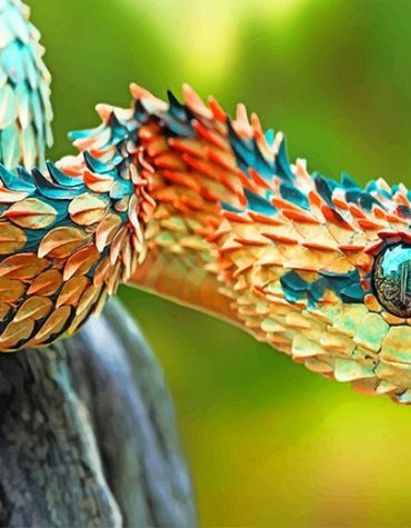 Spiny Bush Snake Reptile Paint By Numbers