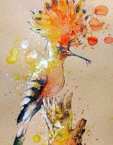 Splashed Bird Picture Paint By Numbers