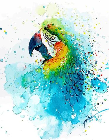 Colorful Splashed Parrot Paint By Numbers