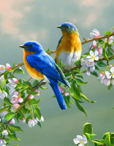 Bluebird Spring Delight Paint By Numbers