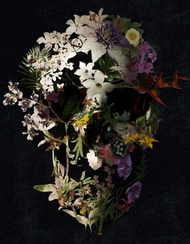 Floral Skull Paint By Numbers