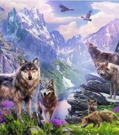 Spring Wolves Art Paint By Numbers