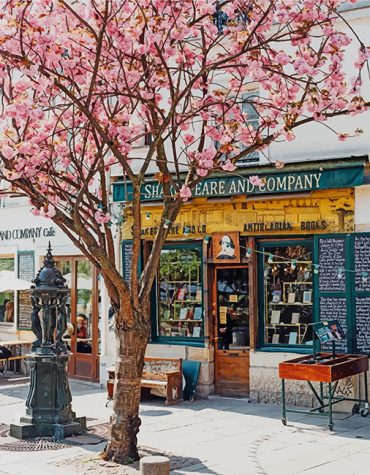 Cherry Blossoms of Paris Paint By Numbers