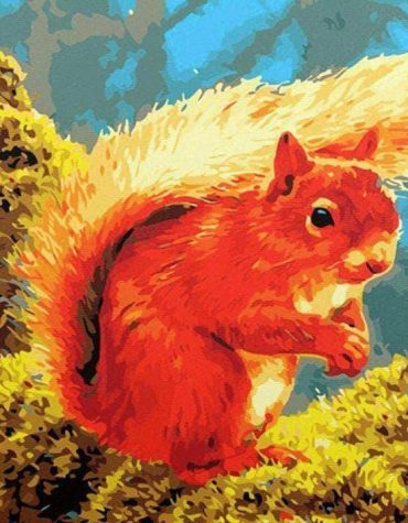 Colorful Squirrel Painting Kits Paint By Numbers