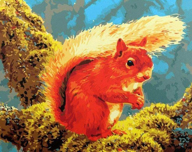 Colorful Squirrel Painting Kits Paint By Numbers