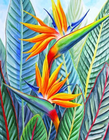 Strelitzia Bird of Paradise Plant Paint By Numbers
