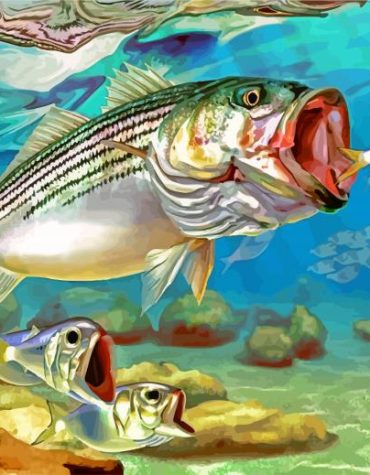 Striper Fish Ocean Scene Paint By Numbers