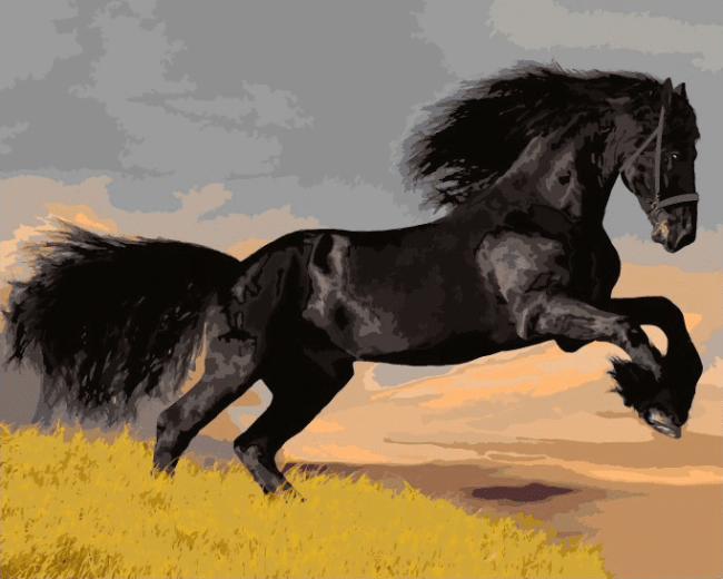 Black Stallion Paint By Numbers