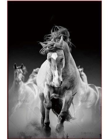 Black Strong Horse Paint By Numbers