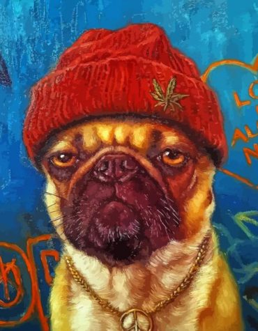 Stylish Pug Paint By Numbers