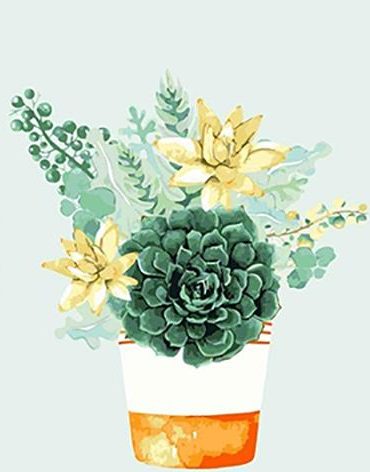 Succulent Plant Pots Paint By Numbers
