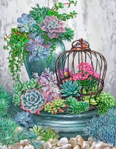 Succulent Garden Adventures Paint By Numbers
