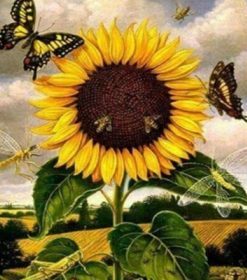 Sunflower and Butterfly Scene Paint By Numbers