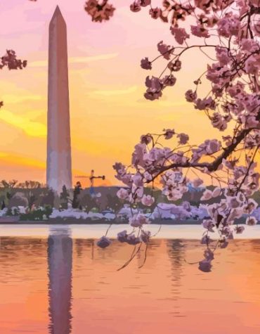 Cherry Blossom Sunset Washington DC Paint By Numbers