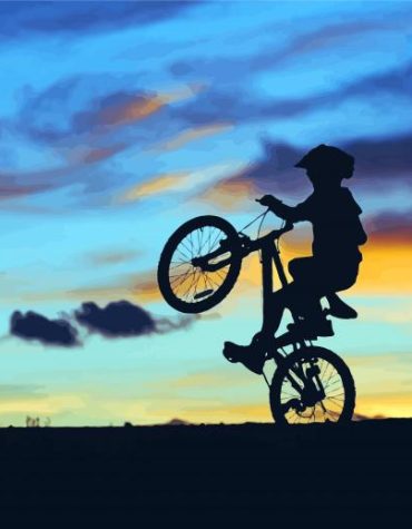 Golden Sunset Bicycle Tour Paint By Numbers