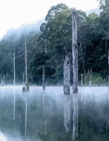 Swamp Frogs Landscape Paint By Numbers