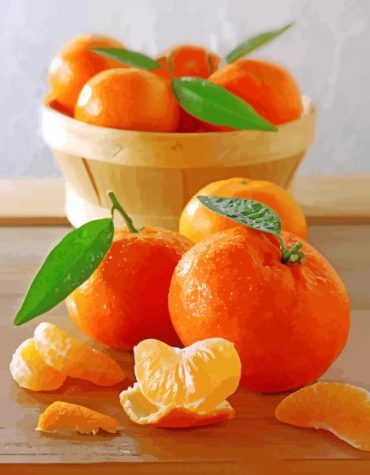 Sweet Orange Mandarine Paint By Numbers