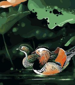 Mandarin Duck Swimming Art Paint By Numbers