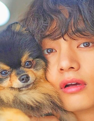 Tae and Yeontan Celeb Duo Paint By Numbers