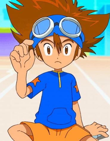 Tai Kamiya Digimon Series Paint By Numbers