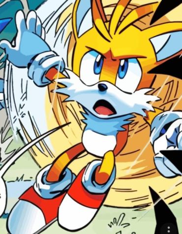 Tails The Fox Adventures Paint By Numbers