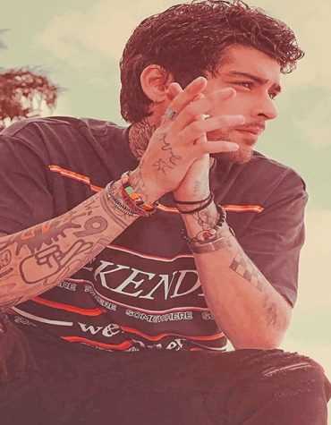 Tattooed Zayn Malik Paint By Numbers