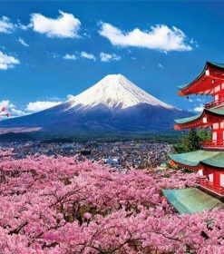 Mount Fuji Temple Landscape Paint By Numbers