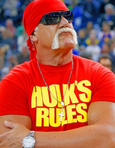 Terry Eugene Bollea WWE Paint By Numbers