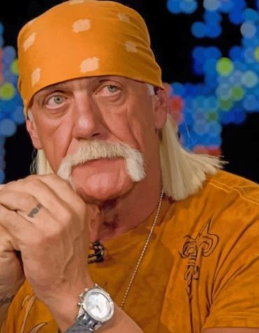 Terry Eugene Bollea Hulk Hogan Paint By Numbers