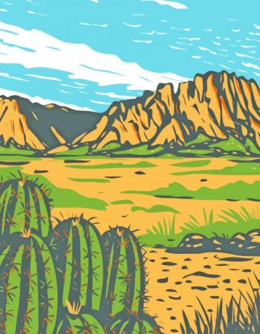 Texas Cactus Landscape Paint By Numbers
