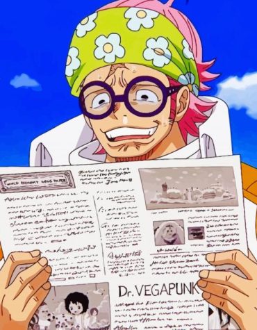 Captain Koby Anime Paint By Numbers