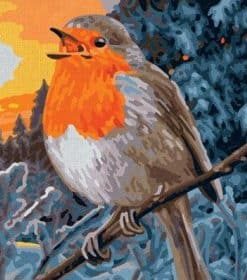 European Robin Bird Art Paint By Numbers