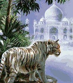 White Tiger Artwork Paint By Numbers