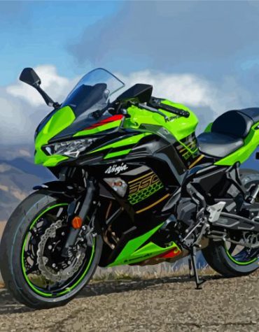 Kawasaki Ninja Engines Paint By Numbers