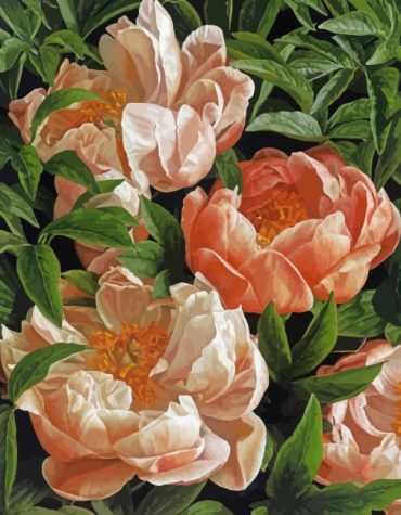 Peony Tulip Bloom Paint By Numbers