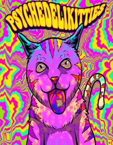 Colorful Psychedelic Cat Paint By Numbers