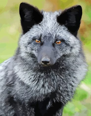 Majestic Silver Fox Paint By Numbers
