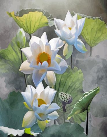 White Lotus Bloom Paint By Numbers